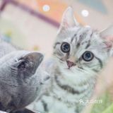 六一亲子游，与萌宠来一场约会～