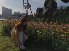 -野狸岛