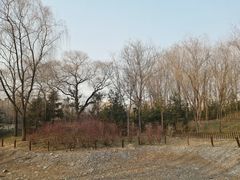 -北极寺公园