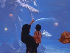 -华夏文旅海洋公园