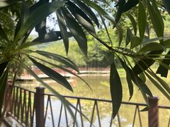 -水濂山森林公园