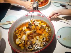 -雲蜀龙阁·金牌水煮鱼(方庄店)