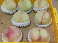 -老袁家蜜桃农场·阳山水蜜桃