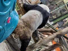 -栾川竹海野生动物园