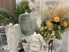 -共舞时光猫咖·狗咖(新街口店)