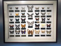 -上海昆虫博物馆