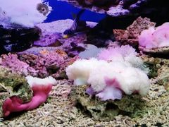 -泉州海丝野生动物世界