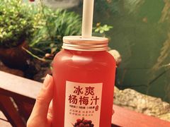 冰爽杨梅汁-山明水秀农庄