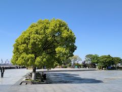 -汤山公园