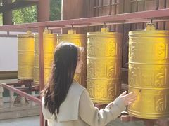 -天龙宝严素食馆(大兴善寺店)