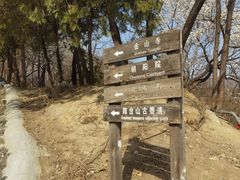 -阳台山自然风景区