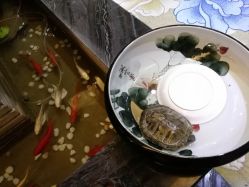 -美满国际月子中心(合生汇店)