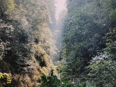 -午潮山国家森林公园