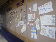 -大果情商(亲藤店)