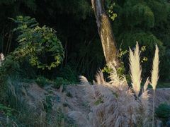 -南京市无想山景区