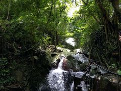-七仙岭温泉国家森林公园