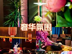 -索拉古贝(义乌北苑店)