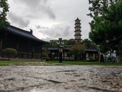 -江心屿景区