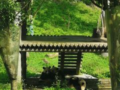 -碧峰峡风景区