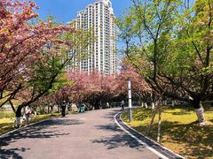 -苏州河梦清园环保主题公园