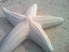 -济南国际园博园