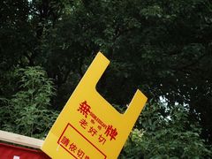 -陆家嘴中心绿地