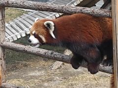 -水上乐园·欢乐世界