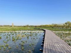 -永定河休闲森林公园