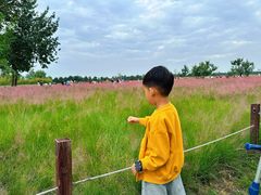 -汉长安城未央宫国家考古遗址公园