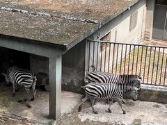 -杭州动物园