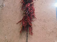 -面尚香关中面馆(西荷店)