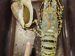 -拉威海鲜市场