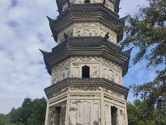 -苏州上方山国家森林公园