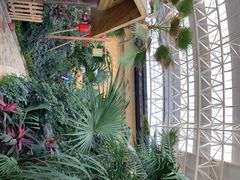 -郑州银基黄帝宫御温泉