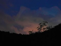 -梧桐山风景名胜区