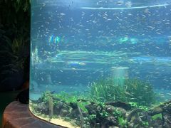 -海合安成都极地海洋公园