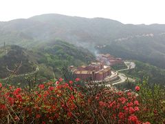 -永州阳明山国家森林公园