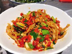 -壹盏灯(惠农店)