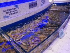 水产区-澜悦港海鲜体验主题餐厅