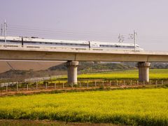 -光明小镇欢乐田园
