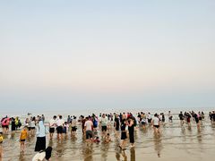 -日照大牌檔•小船海鲜(万平口店)