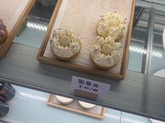 -猫里有甜