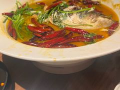 -清水亭湖北菜(大屯DT51店)