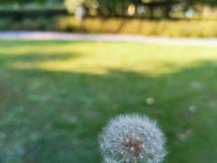-白塘生态植物园