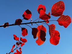 -北京上方山国家森林公园