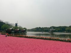 -上海鲜花港