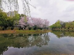 -堤角公园