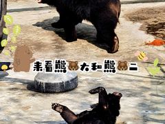 -西安秦岭野生动物园