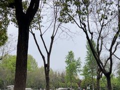-明故宫遗址公园