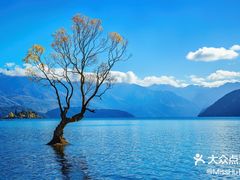 -浩日沁·奶茶馆蒙餐(梧桐花园店)